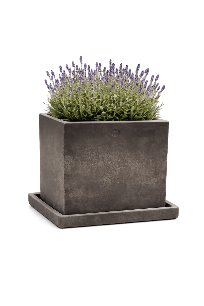 Sous-coupe carrée grise en terre cuite d’Impruneta – accessoire de jardin